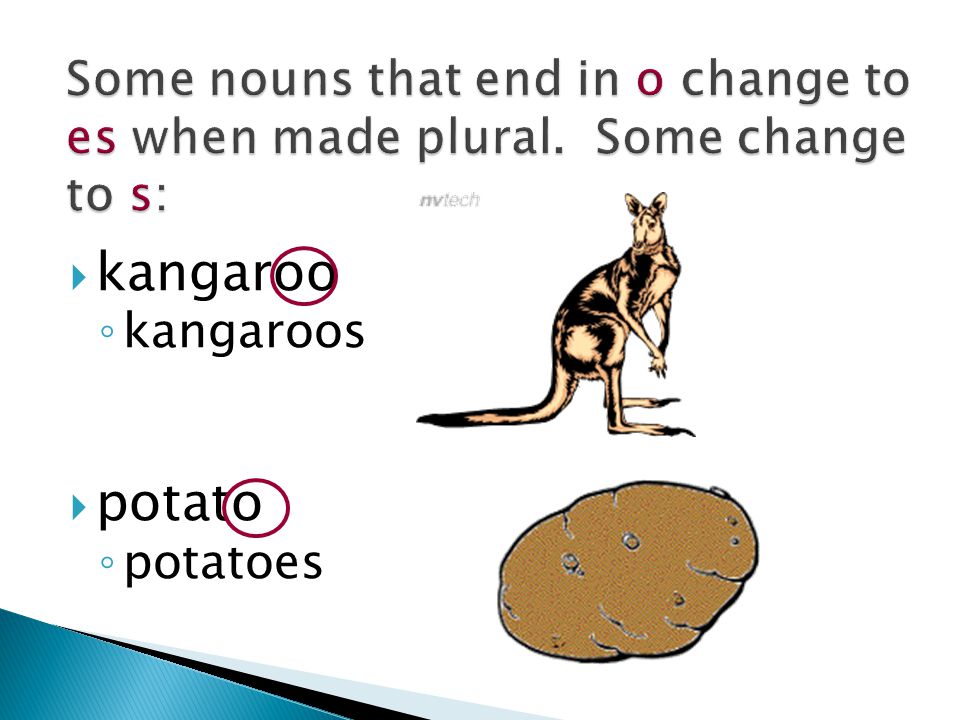  kangaroo ◦ kangaroos  potato ◦ potatoes