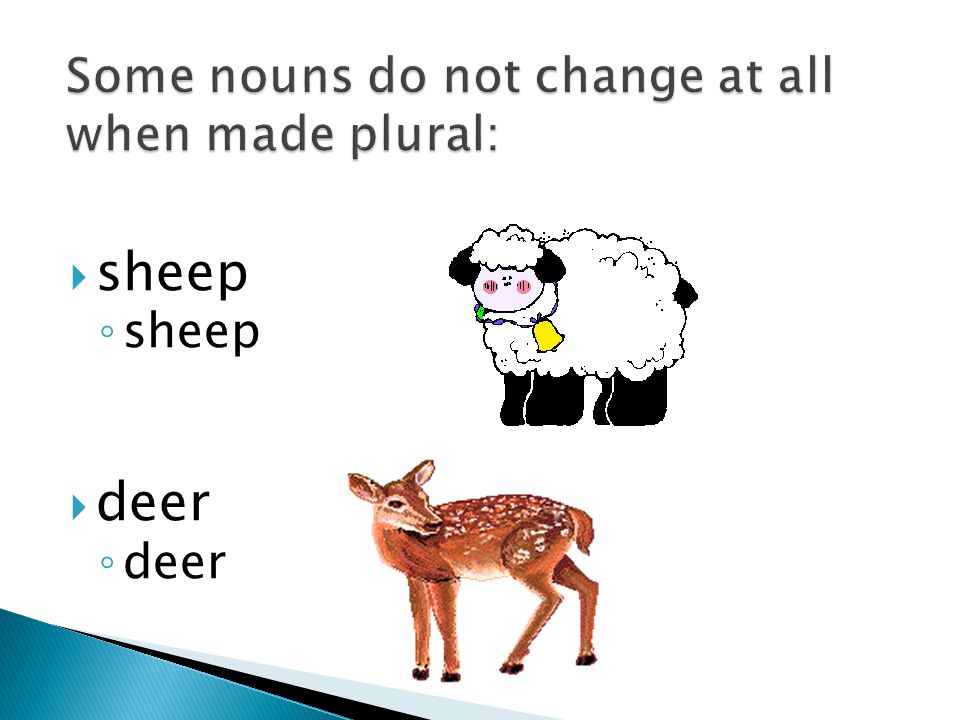  sheep ◦ sheep  deer ◦ deer