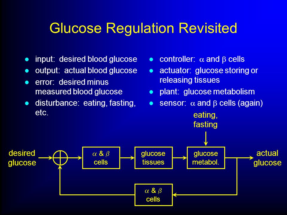 Glucose Regulation Revisited input: desired blood glucose output: actual bl...