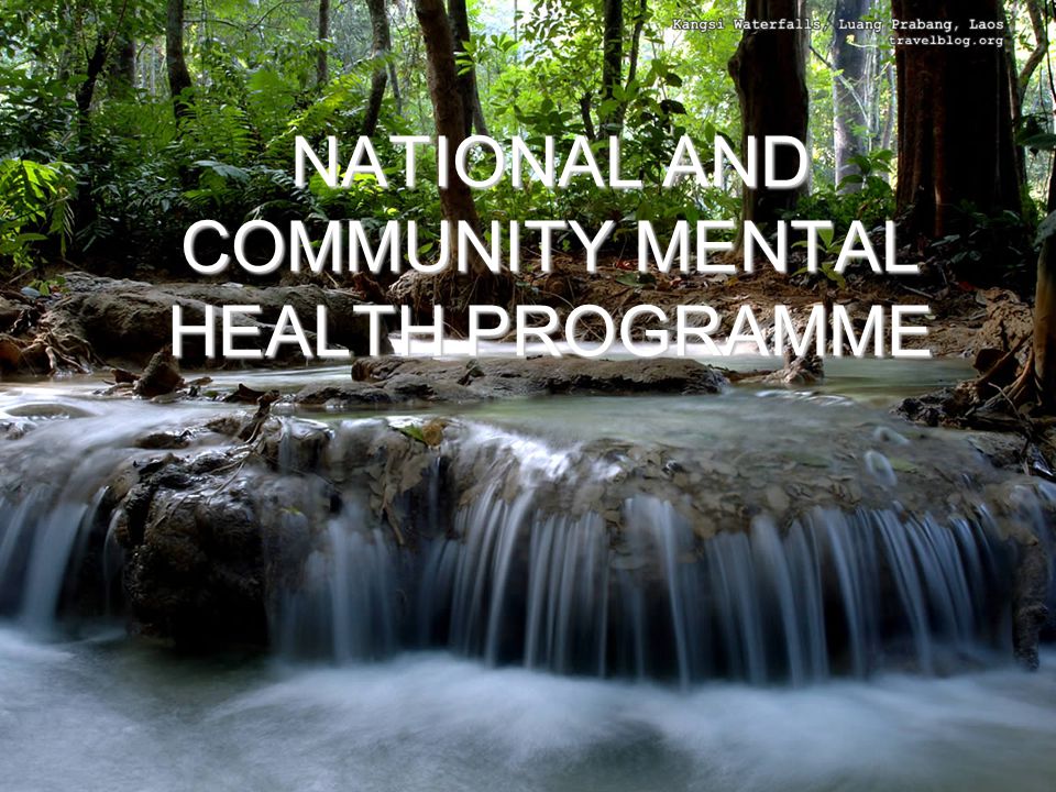 NATIONAL AND COMMUNITY MENTAL HEALTH PROGRAMME