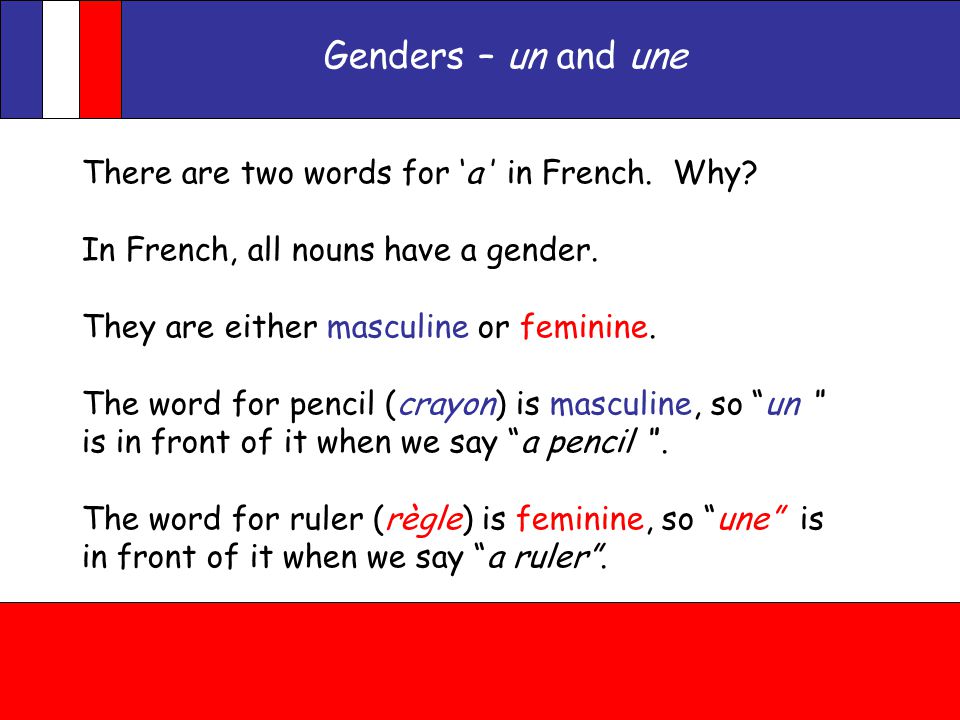 Genders – un and une Objectives : To get to know the French genders. - ppt  download