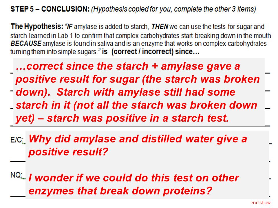 …correct since the starch + amylase gave a positive result for sugar (the starch was broken down).