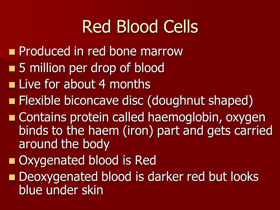 Red Blood Cells Produced in red bone marrow Produced in red bone marrow 5 million per drop of blood 5 million per drop of blood Live for about 4 months Live for about 4 months Flexible biconcave disc (doughnut shaped) Flexible biconcave disc (doughnut shaped) Contains protein called haemoglobin, oxygen binds to the haem (iron) part and gets carried around the body Contains protein called haemoglobin, oxygen binds to the haem (iron) part and gets carried around the body Oxygenated blood is Red Oxygenated blood is Red Deoxygenated blood is darker red but looks blue under skin Deoxygenated blood is darker red but looks blue under skin