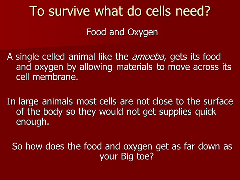 To survive what do cells need.