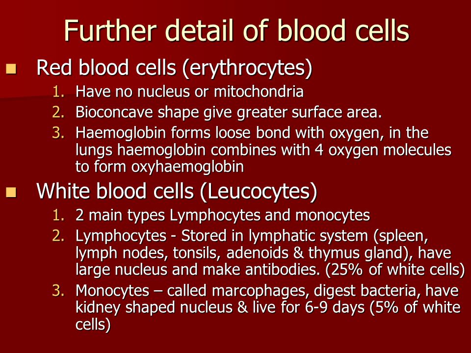 Further detail of blood cells Red blood cells (erythrocytes) Red blood cells (erythrocytes) 1.Have no nucleus or mitochondria 2.Bioconcave shape give greater surface area.