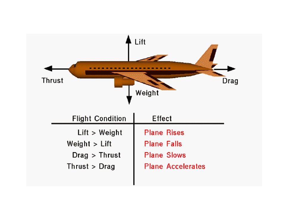 Forces of Flight Four forces of flight Lift - upward Drag – down & backwards Weight - downward Thrust - forward