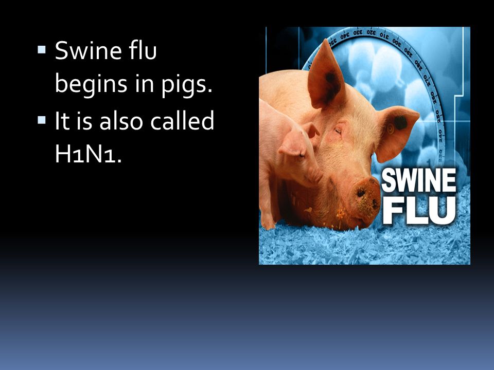 Preparing for Swine Flu with Memes!, by Youngun India