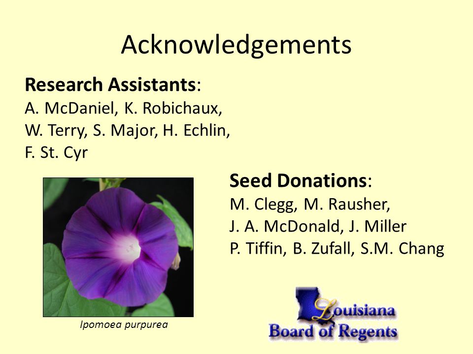 Ipomoea purpurea Seed Donations: M. Clegg, M. Rausher, J.