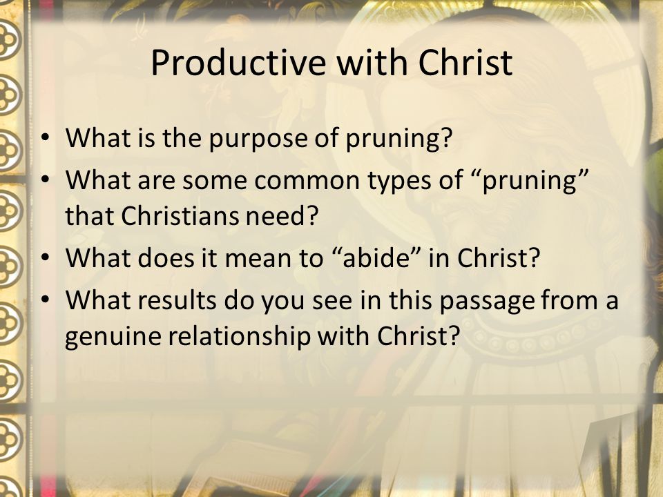 Productive with Christ What is the purpose of pruning.