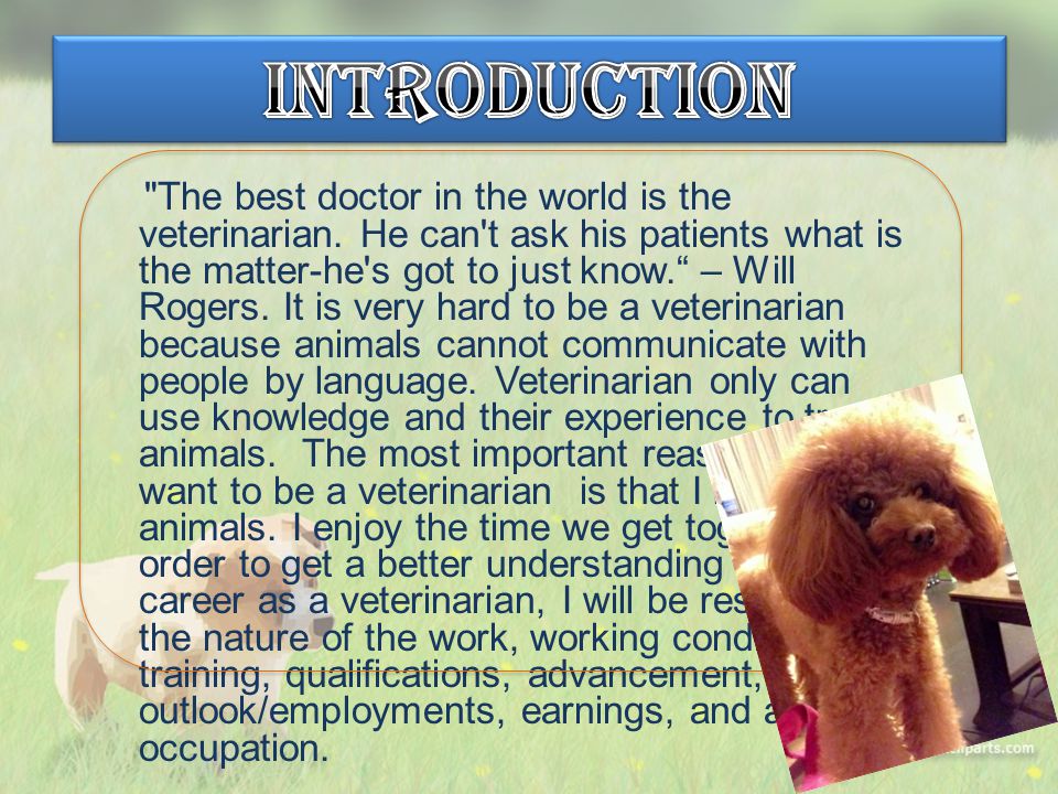 The best doctor in the world is the veterinarian. He can't ask his patients  what is the matter-he's got to just know.“ – Will Rogers. It is very hard.  - ppt download