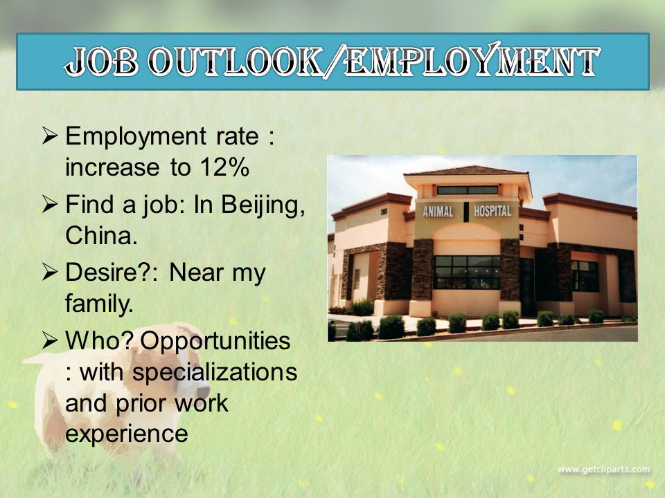  Employment rate ： increase to 12%  Find a job: In Beijing, China.