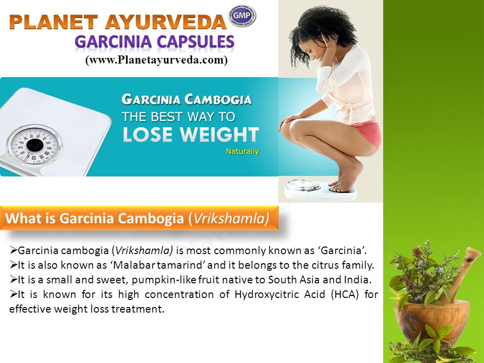 garcinia planet ayurveda garcinia planet ayurveda