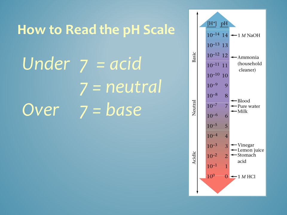 How to Read the pH Scale Under 7 = acid 7 = neutral Over7 = base