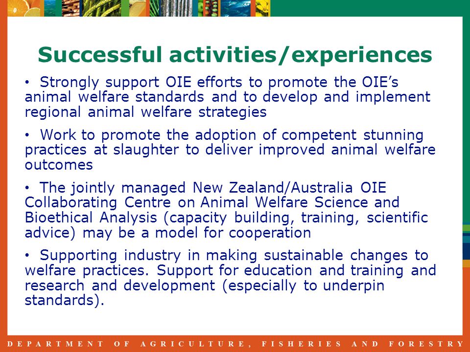 Successful activities/experiences Strongly support OIE efforts to promote the OIE’s animal welfare standards and to develop and implement regional animal welfare strategies Work to promote the adoption of competent stunning practices at slaughter to deliver improved animal welfare outcomes The jointly managed New Zealand/Australia OIE Collaborating Centre on Animal Welfare Science and Bioethical Analysis (capacity building, training, scientific advice) may be a model for cooperation Supporting industry in making sustainable changes to welfare practices.