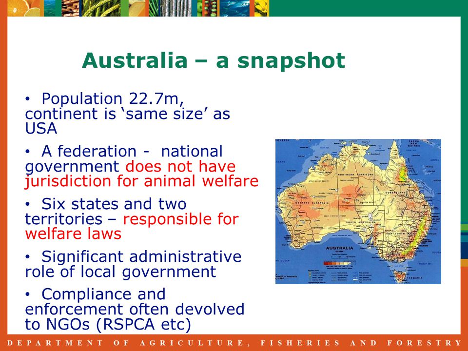 Australia – a snapshot Population 22.7m, continent is ‘same size’ as USA A federation - national government does not have jurisdiction for animal welfare Six states and two territories – responsible for welfare laws Significant administrative role of local government Compliance and enforcement often devolved to NGOs (RSPCA etc)