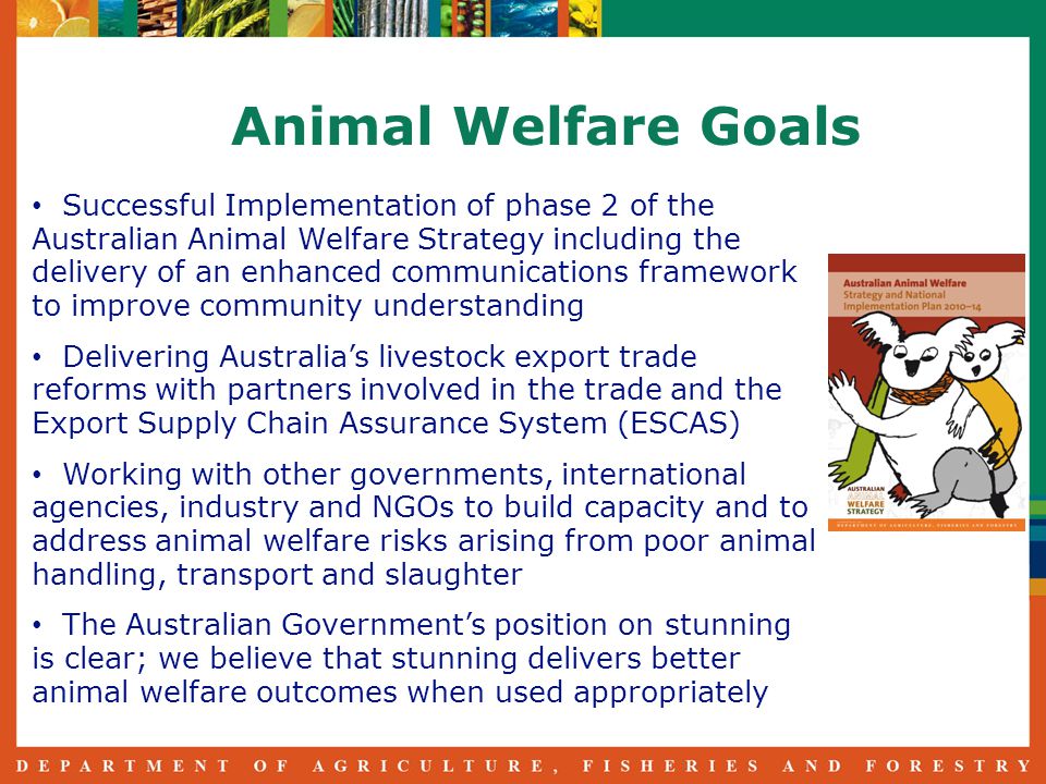 Animal Welfare Goals Successful Implementation of phase 2 of the Australian Animal Welfare Strategy including the delivery of an enhanced communications framework to improve community understanding Delivering Australia’s livestock export trade reforms with partners involved in the trade and the Export Supply Chain Assurance System (ESCAS) Working with other governments, international agencies, industry and NGOs to build capacity and to address animal welfare risks arising from poor animal handling, transport and slaughter The Australian Government’s position on stunning is clear; we believe that stunning delivers better animal welfare outcomes when used appropriately