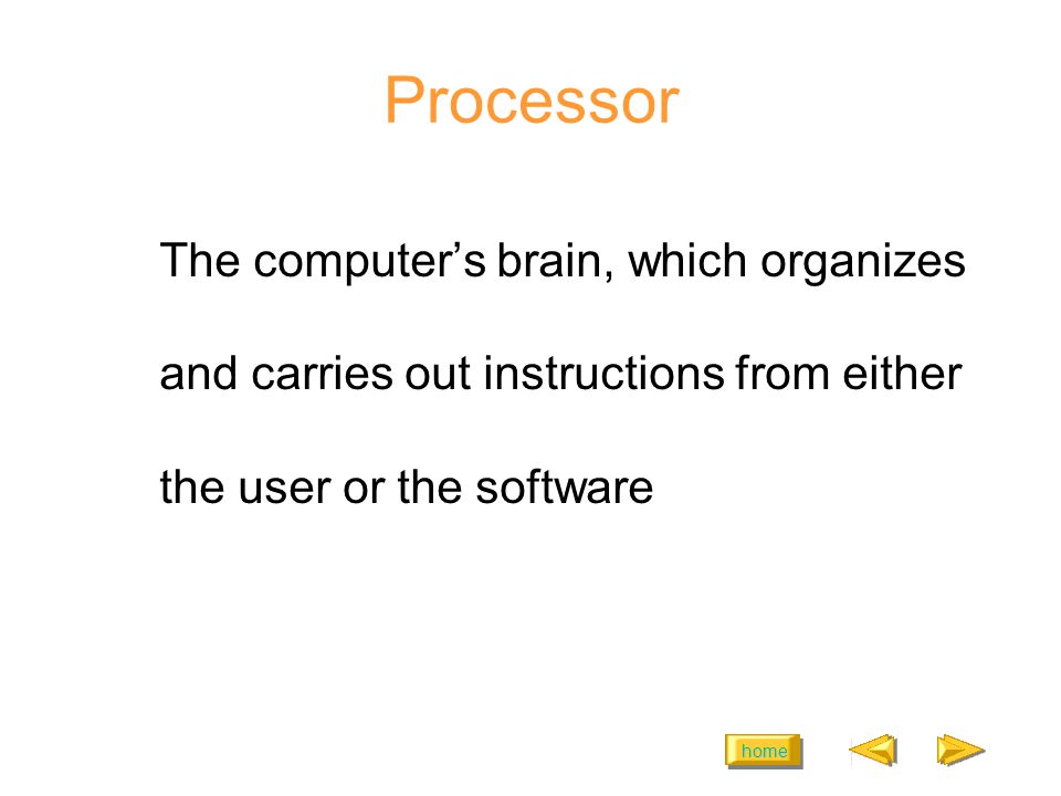 home Processor The computer’s brain, which organizes and carries out instructions from either the user or the software