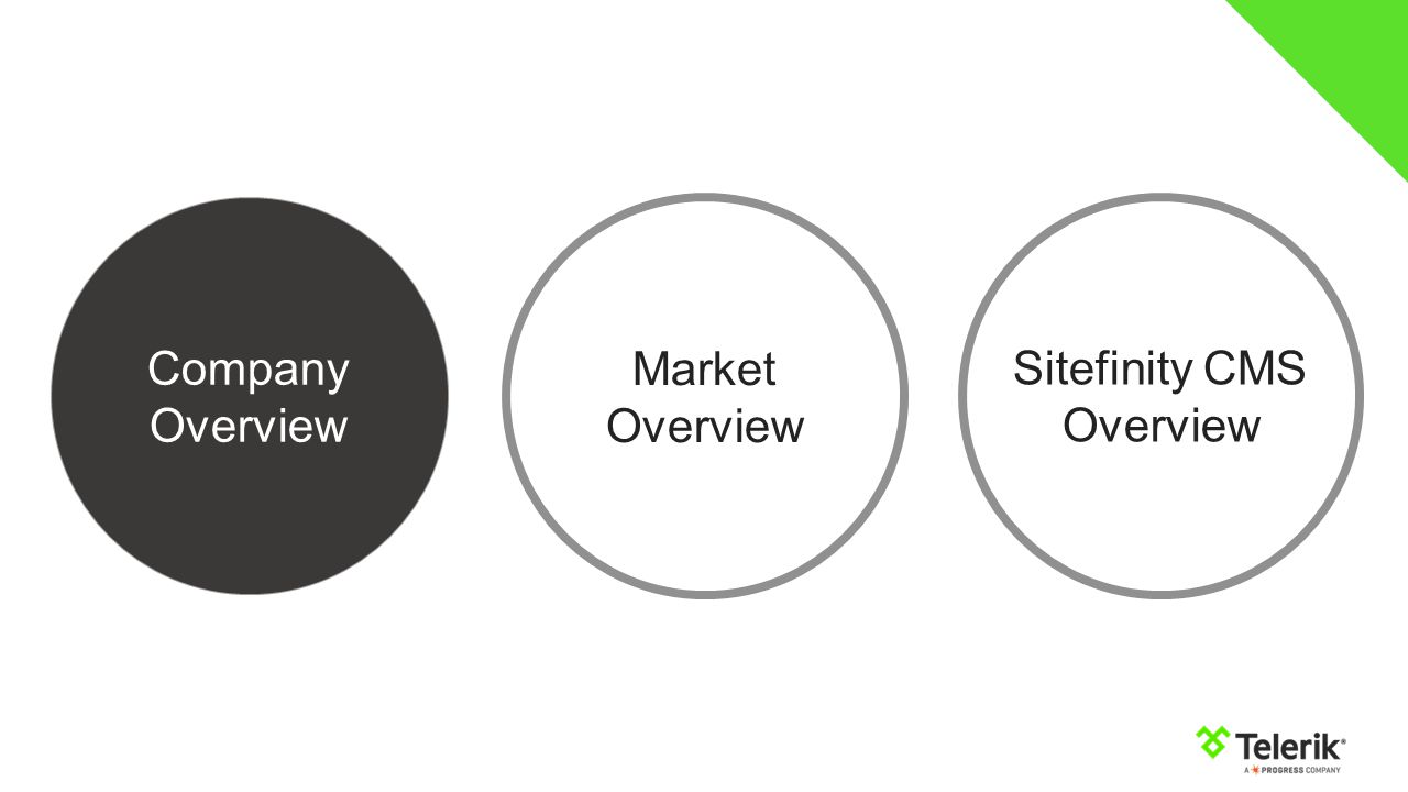 Company Overview Market Overview Sitefinity CMS Overview