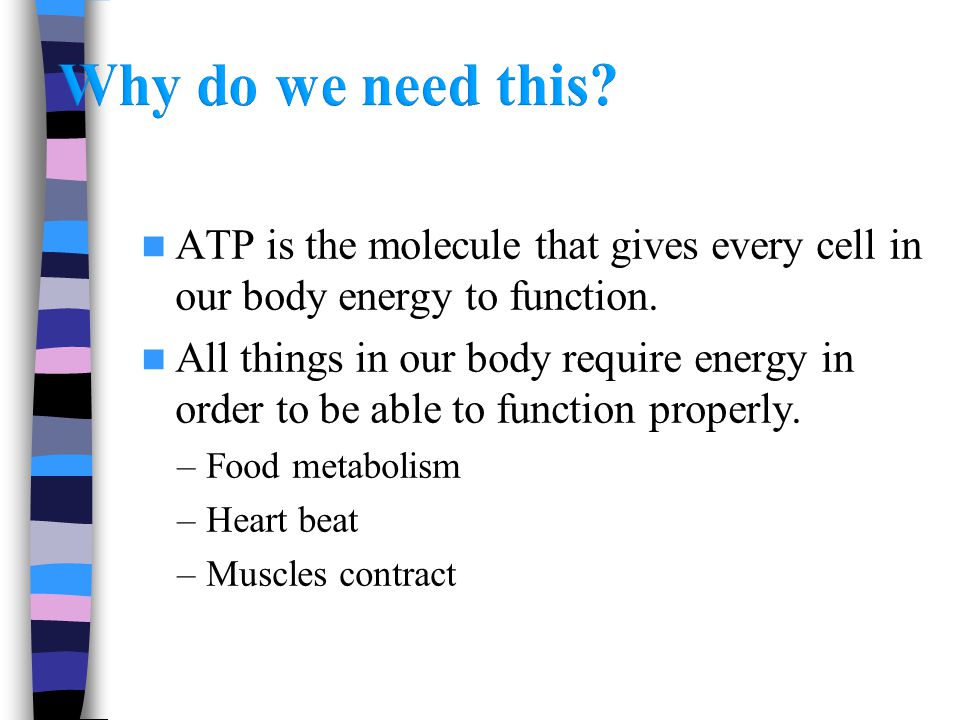 ATP is the molecule that gives every cell in our body energy to function.