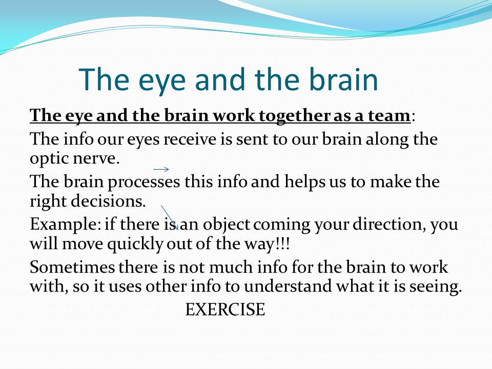 The eye and the brain The eye and the brain work together as a team: The info our eyes receive is sent to our brain along the optic nerve.