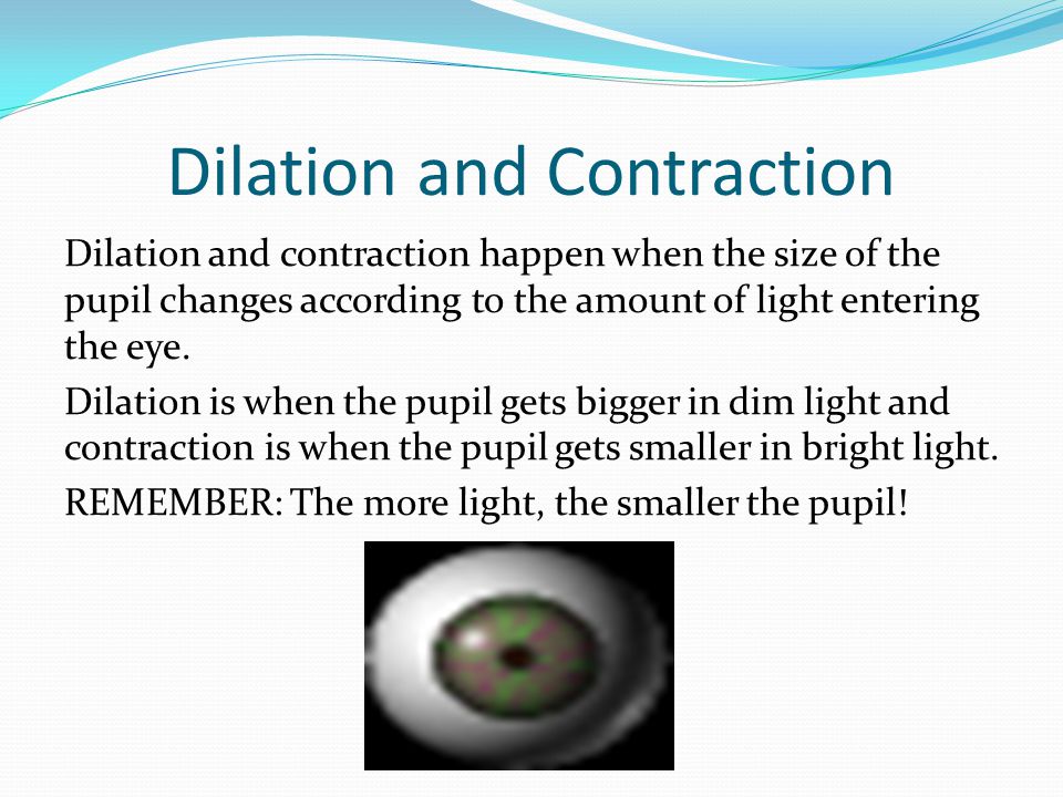 Dilation and Contraction Dilation and contraction happen when the size of the pupil changes according to the amount of light entering the eye.