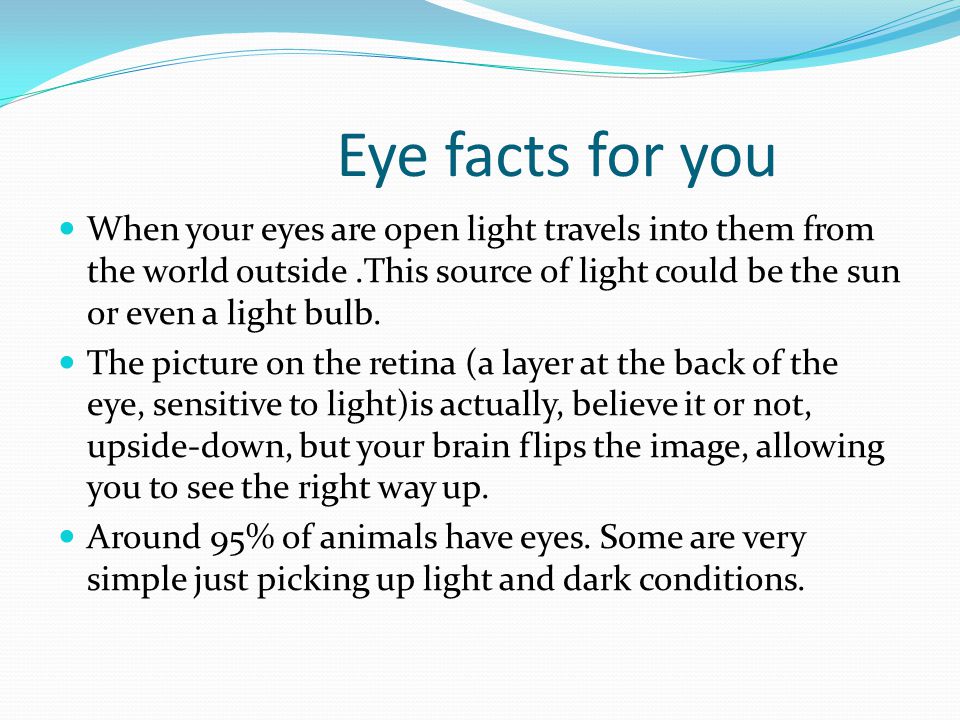 Eye facts for you When your eyes are open light travels into them from the world outside.This source of light could be the sun or even a light bulb.
