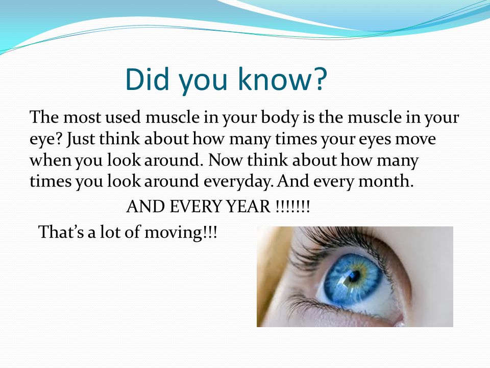Did you know. The most used muscle in your body is the muscle in your eye.