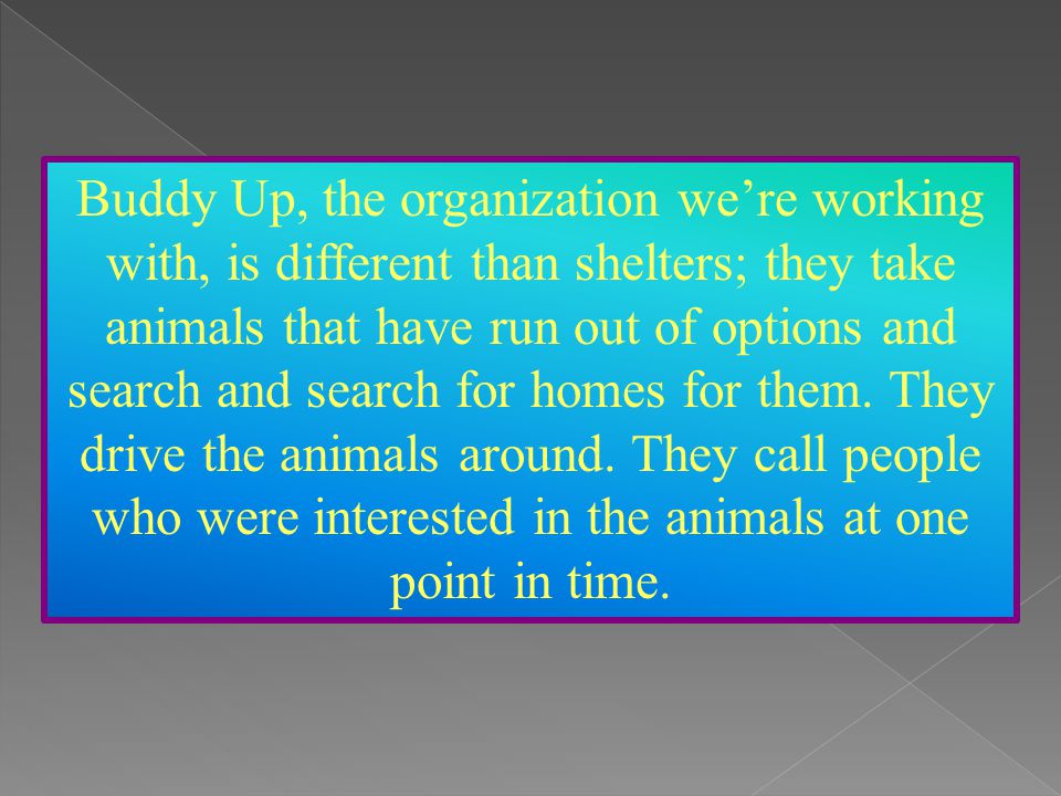 Our project is addressing one community need: homeless animals.