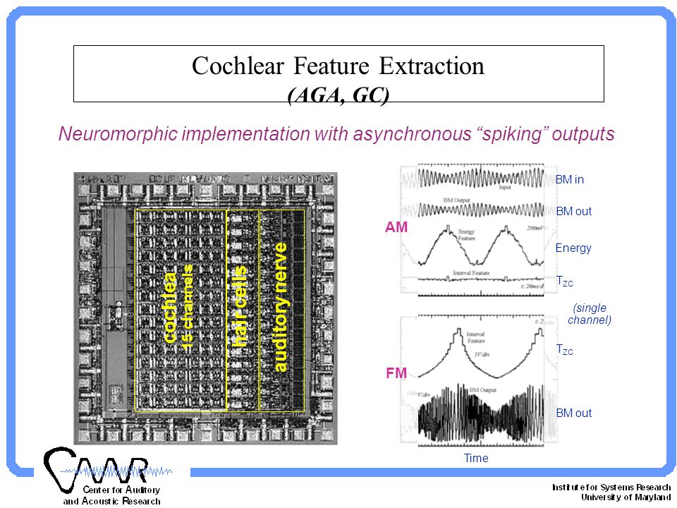 Cochlear Feature Extraction (AGA, GC) cochlea 15 channels hair cells auditory nerve AM FM Time T ZC BM in BM out Energy (single channel) Neuromorphic implementation with asynchronous spiking outputs