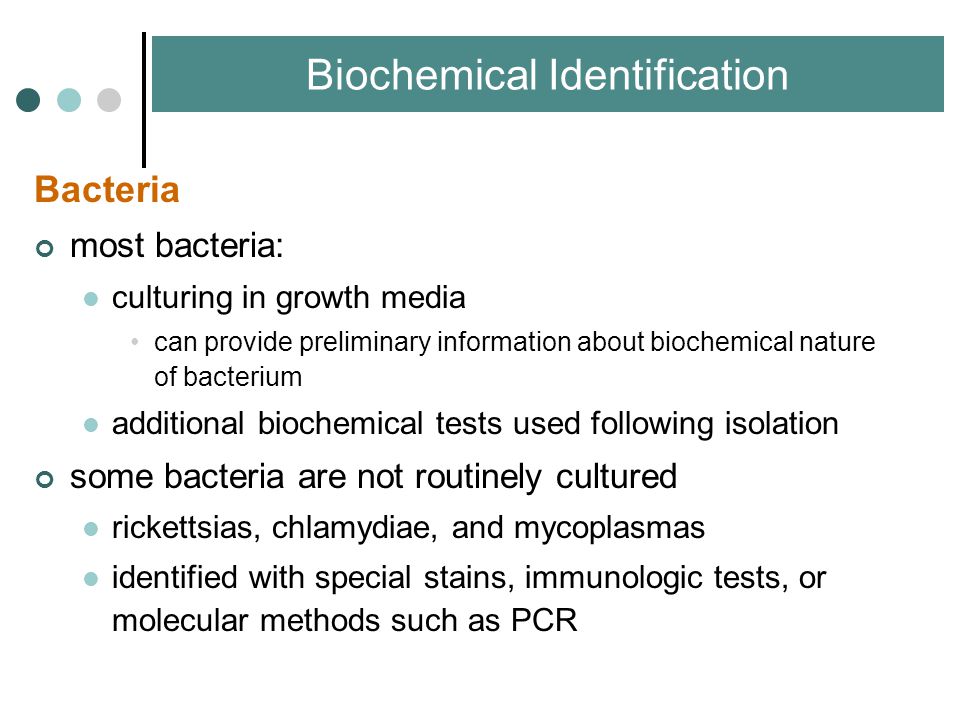 Bacteria most bacteria: culturing in growth media can provide preliminary information about biochemical nature of bacterium additional biochemical tests used following isolation some bacteria are not routinely cultured rickettsias, chlamydiae, and mycoplasmas identified with special stains, immunologic tests, or molecular methods such as PCR Biochemical Identification