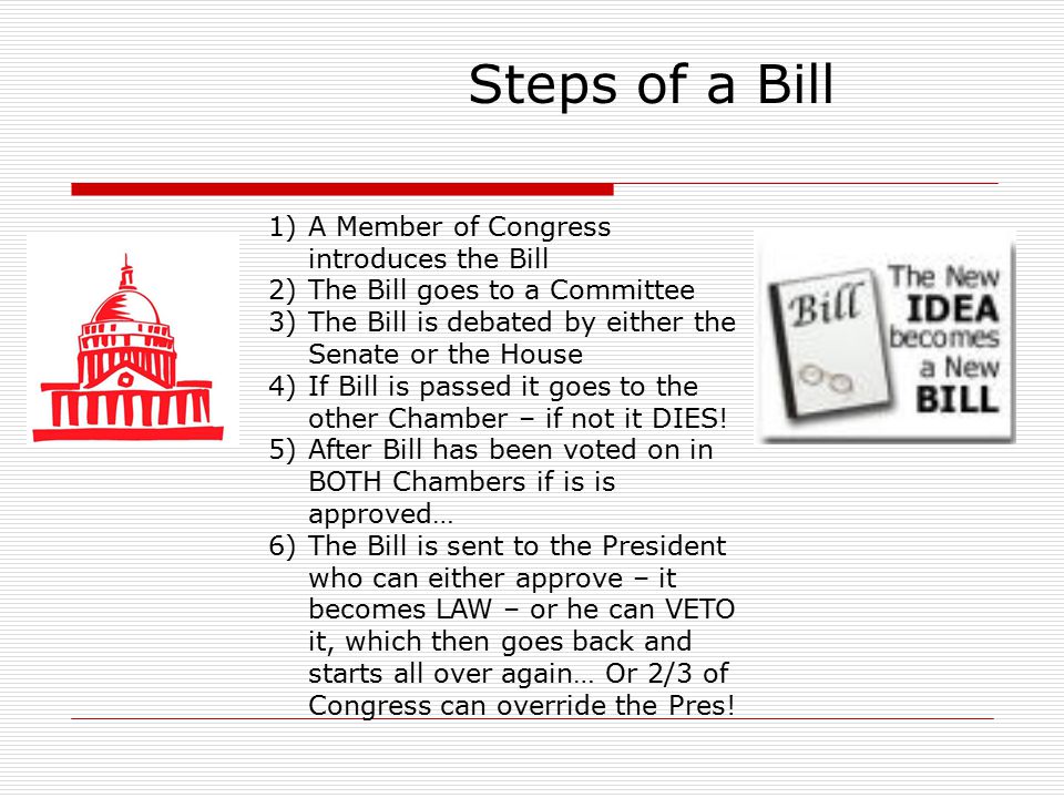 Steps of a Bill 1)A Member of Congress introduces the Bill 2)The Bill goes to a Committee 3)The Bill is debated by either the Senate or the House 4)If Bill is passed it goes to the other Chamber – if not it DIES.