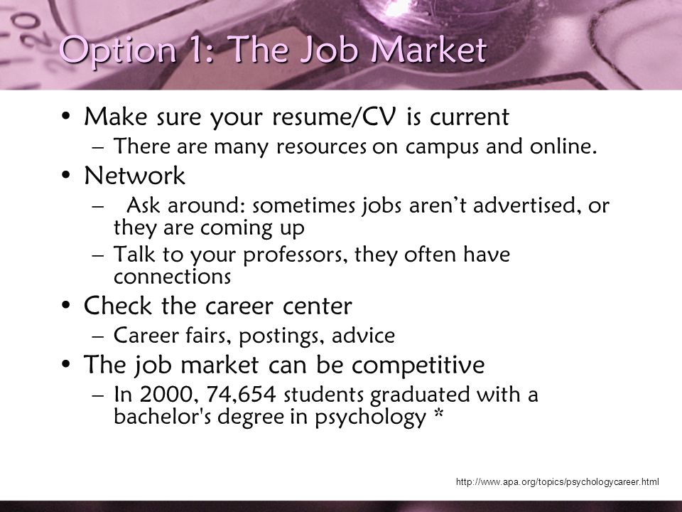Option 1: The Job Market Make sure your resume/CV is current –There are many resources on campus and online.