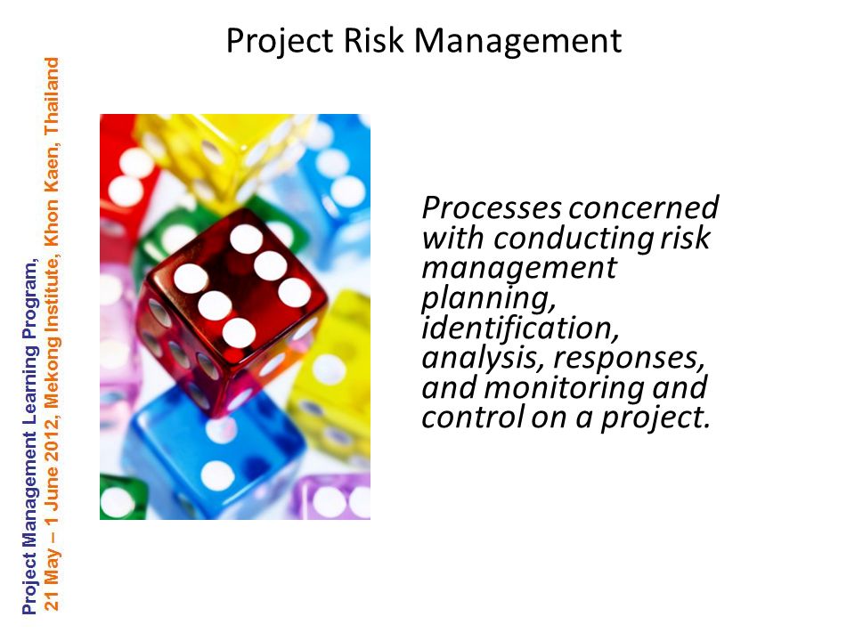 Processes concerned with conducting risk management planning, identification, analysis, responses, and monitoring and control on a project.