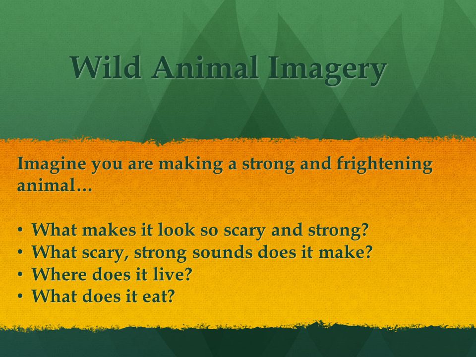 Wild Animal Imagery Imagine you are making a strong and frightening animal… What makes it look so scary and strong.