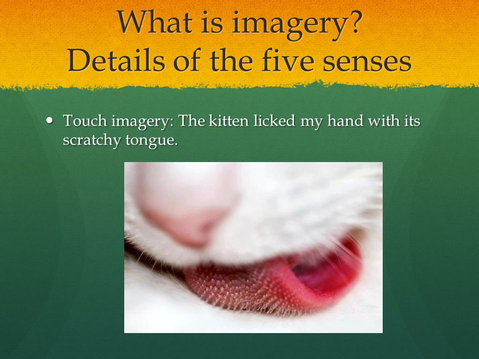 What is imagery.