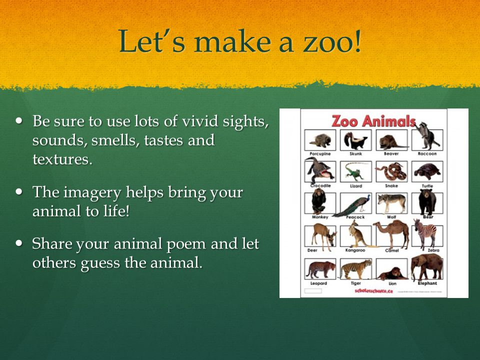 Let’s make a zoo. Be sure to use lots of vivid sights, sounds, smells, tastes and textures.