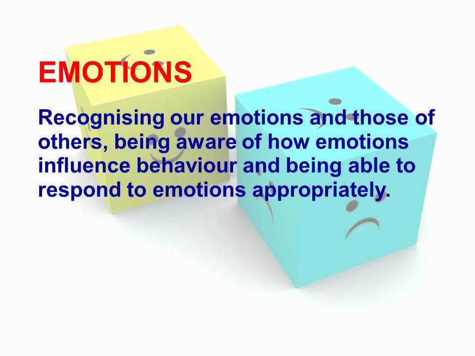 EMOTIONS Recognising our emotions and those of others, being aware of how emotions influence behaviour and being able to respond to emotions appropriately.