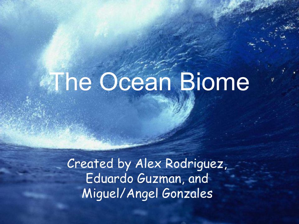 The Ocean Biome Created by Alex Rodriguez, Eduardo Guzman, and Miguel/Angel Gonzales