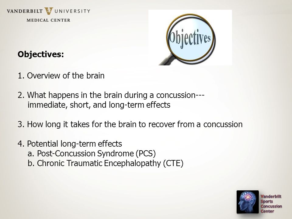 Objectives: 1. Overview of the brain 2.