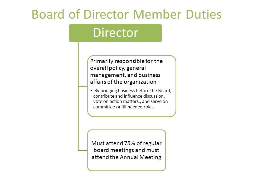 Director Primarily responsible for the overall policy, general management, and business affairs of the organization By bringing business before the Board, contribute and influence discussion, vote on action matters., and serve on committee or fill needed roles.
