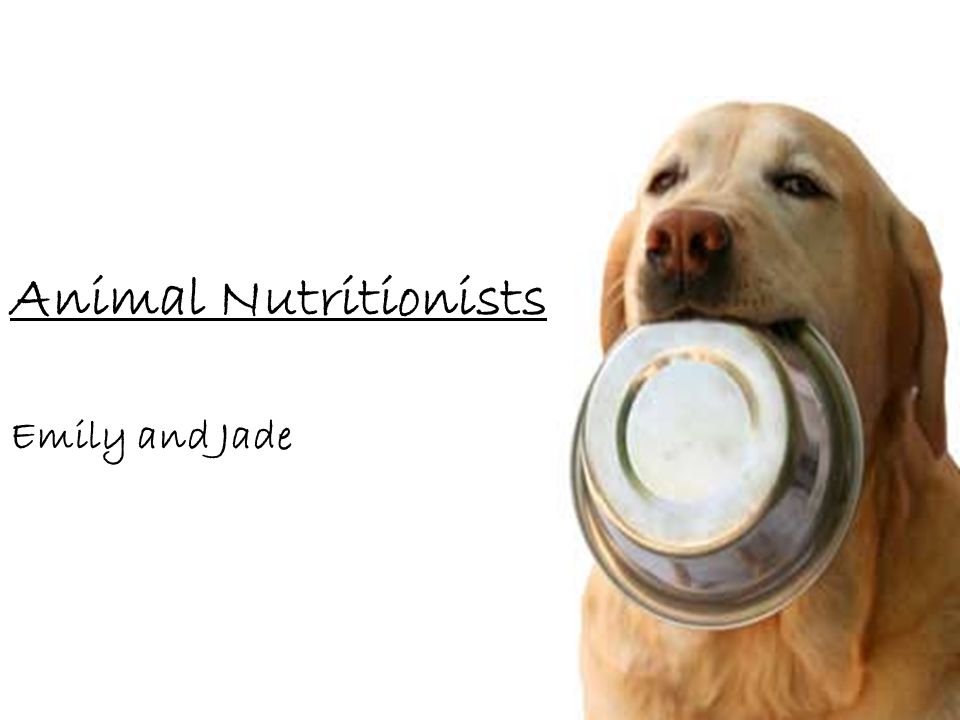Animal Nutritionists Emily and Jade