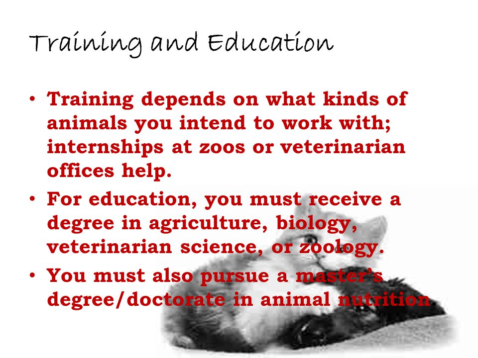 Training and Education Training depends on what kinds of animals you intend to work with; internships at zoos or veterinarian offices help.