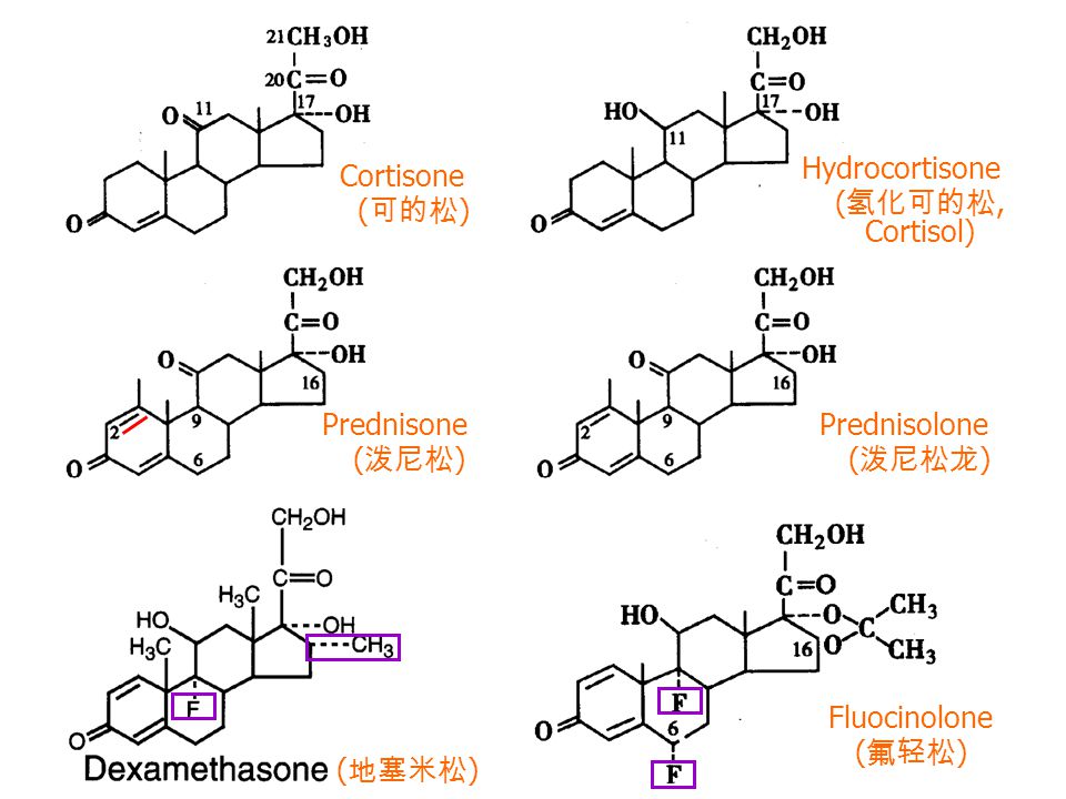 H Cortisone ( 可的松 ) Prednisone ( 泼尼松 ) ( 地塞米松 ) Hydrocortisone ( 氢化可的松, Cortisol) Prednisolone ( 泼尼松龙 ) Fluocinolone ( 氟轻松 )