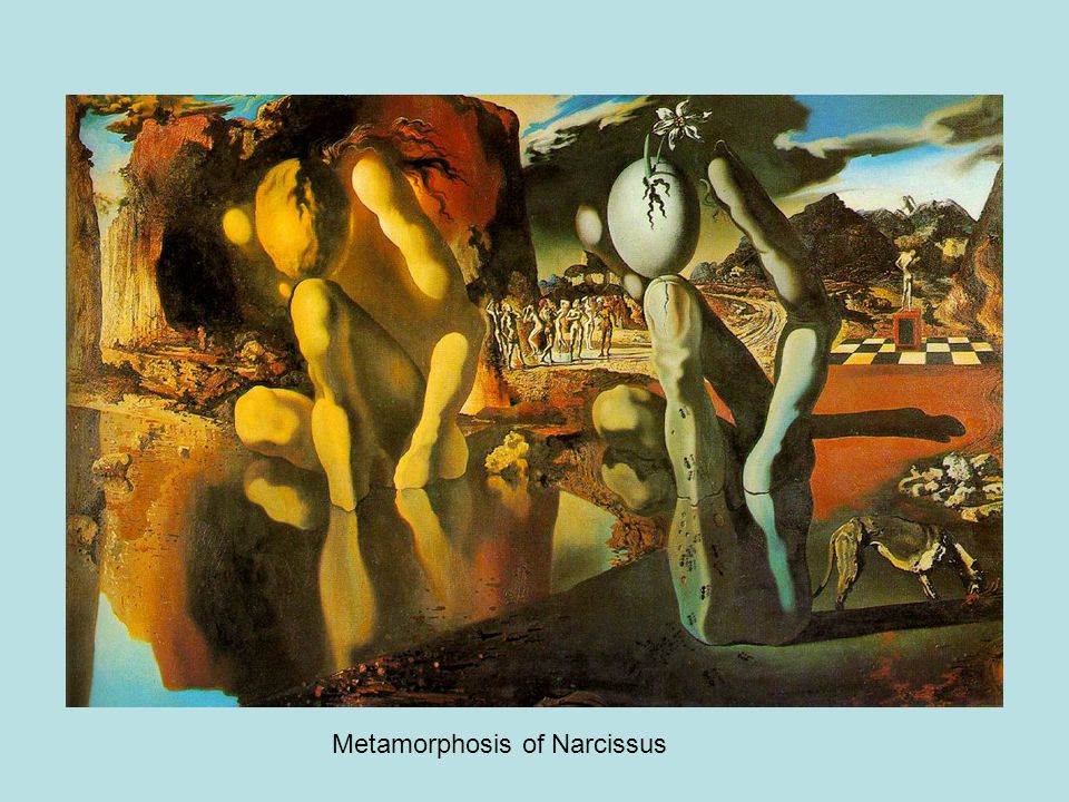 Metamorphosis of Narcissus