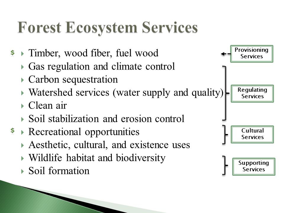  Timber, wood fiber, fuel wood  Gas regulation and climate control  Carbon sequestration  Watershed services (water supply and quality)  Clean air  Soil stabilization and erosion control  Recreational opportunities  Aesthetic, cultural, and existence uses  Wildlife habitat and biodiversity  Soil formation Provisioning Services Regulating Services Cultural Services Supporting Services