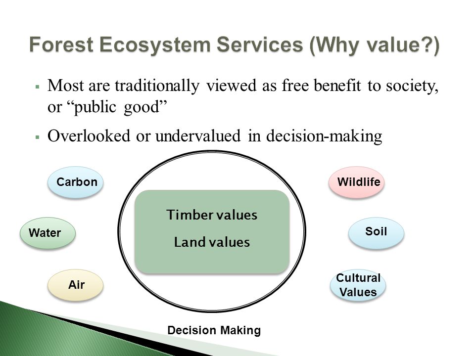  Most are traditionally viewed as free benefit to society, or public good  Overlooked or undervalued in decision-making Decision Making Timber values Land values Carbon Water Air Wildlife Soil Cultural Values