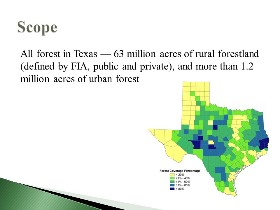 All forest in Texas — 63 million acres of rural forestland (defined by FIA, public and private), and more than 1.2 million acres of urban forest