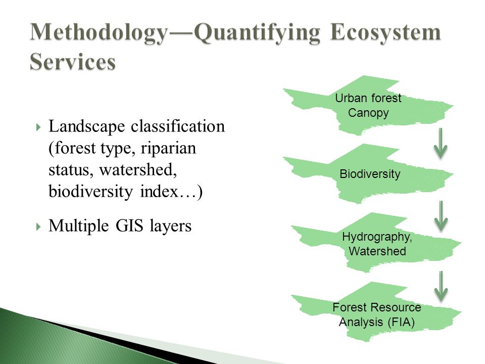  Landscape classification (forest type, riparian status, watershed, biodiversity index…)  Multiple GIS layers Forest Resource Analysis (FIA) Hydrography, Watershed Biodiversity Urban forest Canopy