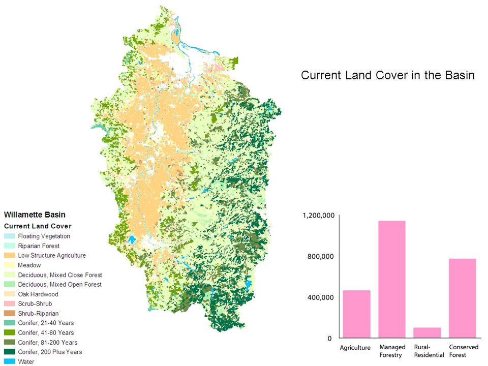 Current Land Cover in the Basin