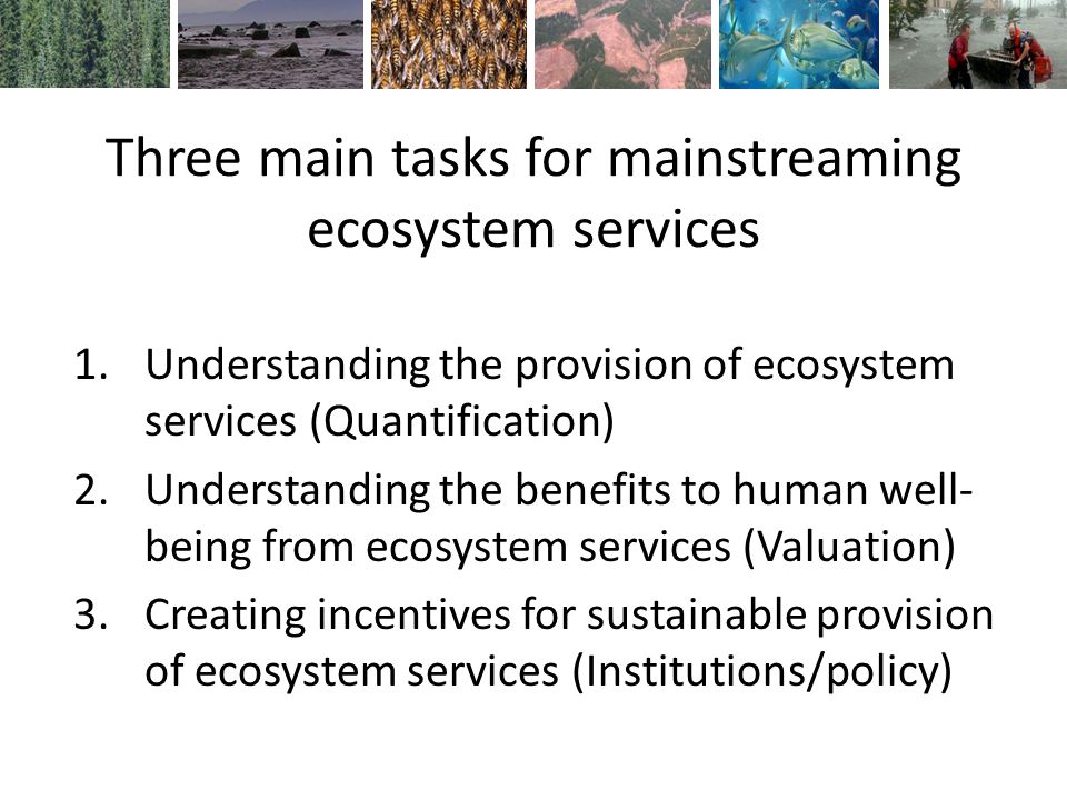 Three main tasks for mainstreaming ecosystem services 1.Understanding the provision of ecosystem services (Quantification) 2.Understanding the benefits to human well- being from ecosystem services (Valuation) 3.Creating incentives for sustainable provision of ecosystem services (Institutions/policy)
